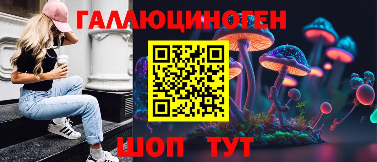 Ивантеевка  Галлюциногенные грибы GOLDEN TEACHER  Вход с VPN  Галлюциногенные грибы мицелий 